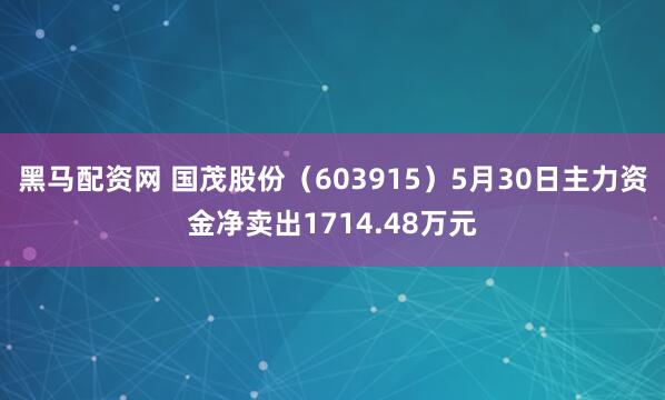 黑马配资网 国茂股份（603915）5月30日主力资金净卖出1714.48万元
