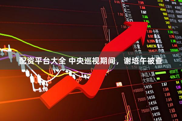 配资平台大全 中央巡视期间，谢培午被查