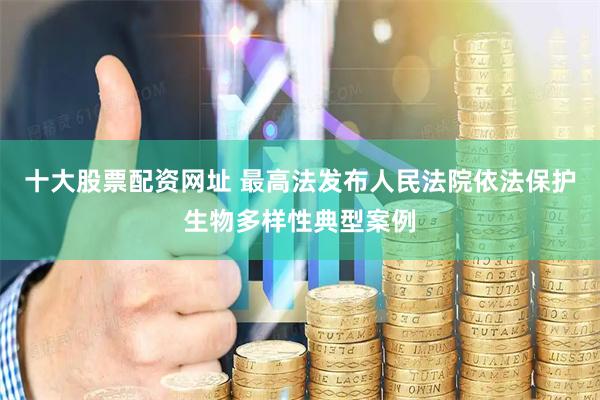 十大股票配资网址 最高法发布人民法院依法保护生物多样性典型案例